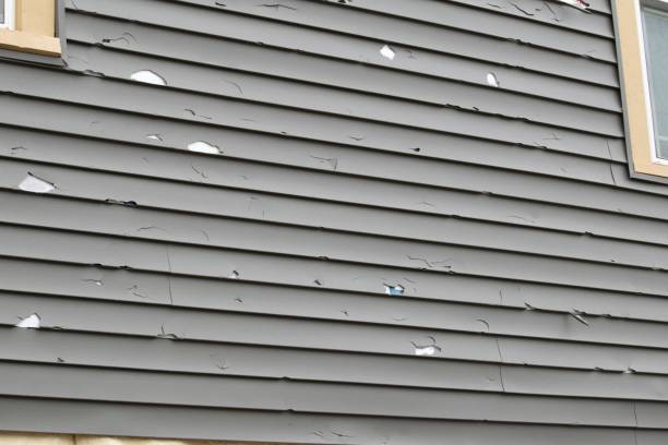 Affordable Siding Repair and Maintenance Services in Eudora, AR